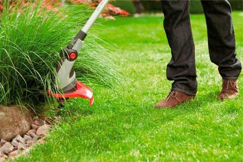 How to Choose a Petrol Grass Trimmer
