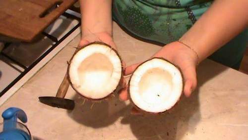 How to Cut Coconut at Home Video