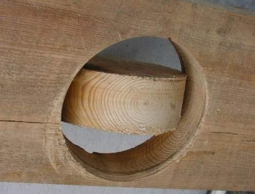 How To Make A Hole In A Tree Without A Drill