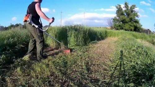How to Mow Properly with an Electric Trimmer