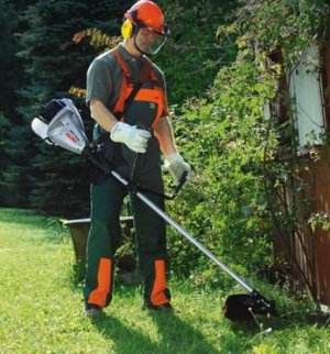 Petrol Trimmer Which is Best From Inexpensive
