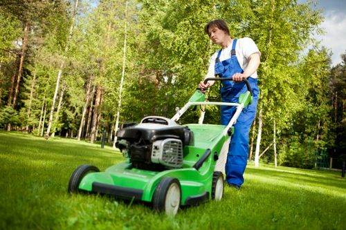How to Mow Grass with a Lawn Mower Quickly