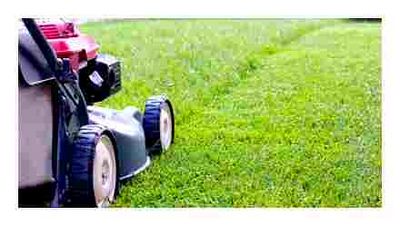 lawnmower, ordinary, grass