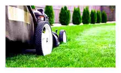 lawnmower, ordinary, grass