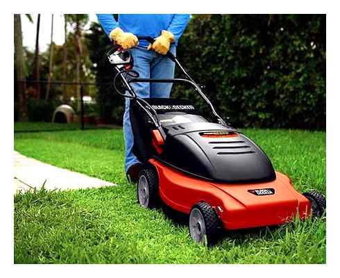 which, lawn, mower, better