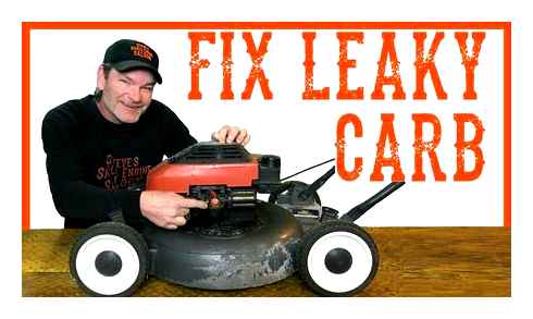 lawnmower, does, pump, gasoline, trimmer, clean