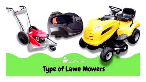 there, lawn, mowers, cleaning, tool, work