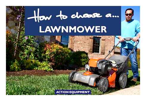 which, lawn, mower, model, choose