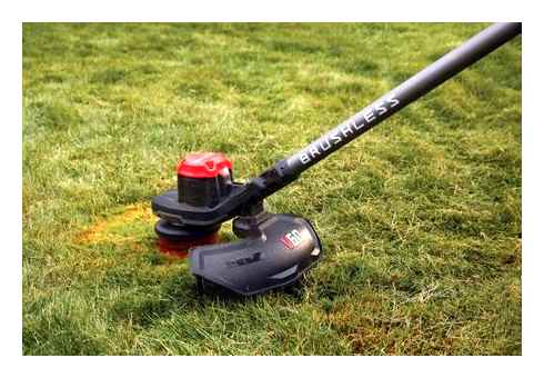 lawn, mowing, trimmer, grass