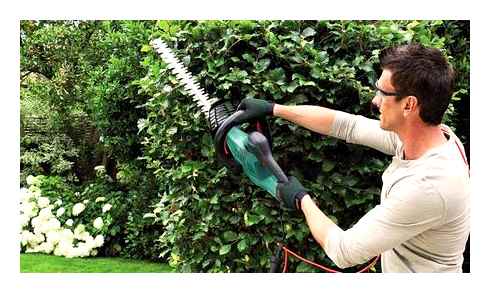 best, pole, hedge, trimmers