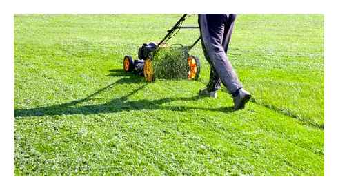 best, quotes, lawn, care, mowing, quote