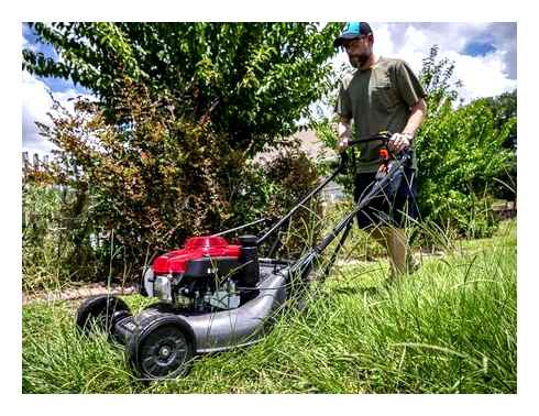 best, self-propelled, lawn, mower