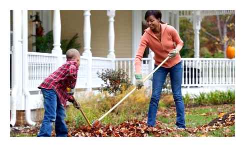 mowing, leaves, instead, raking, these, best