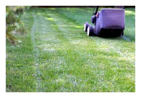 ways, reduce, lawn, mower, noise