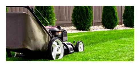 most, important, lawn, care, tips, texas