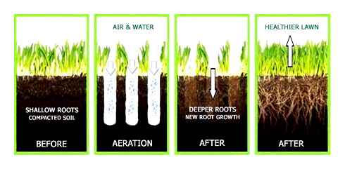 core, aeration, spike, electric, aerator, lawn