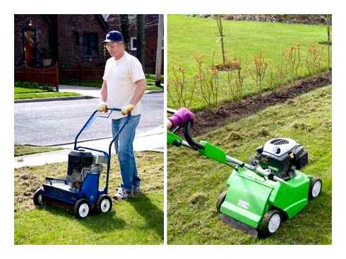 dethatcher, lawn, sweeper, difference, riding, mower