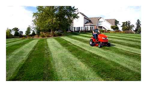 stripes, your, lawn, mower