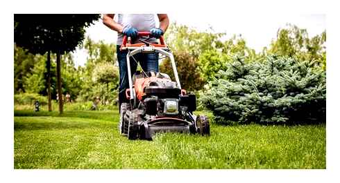perfect, level, your, lawn, riding, mower