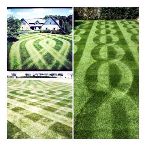 stripe, lawn, simple, tips, tricks, perfection