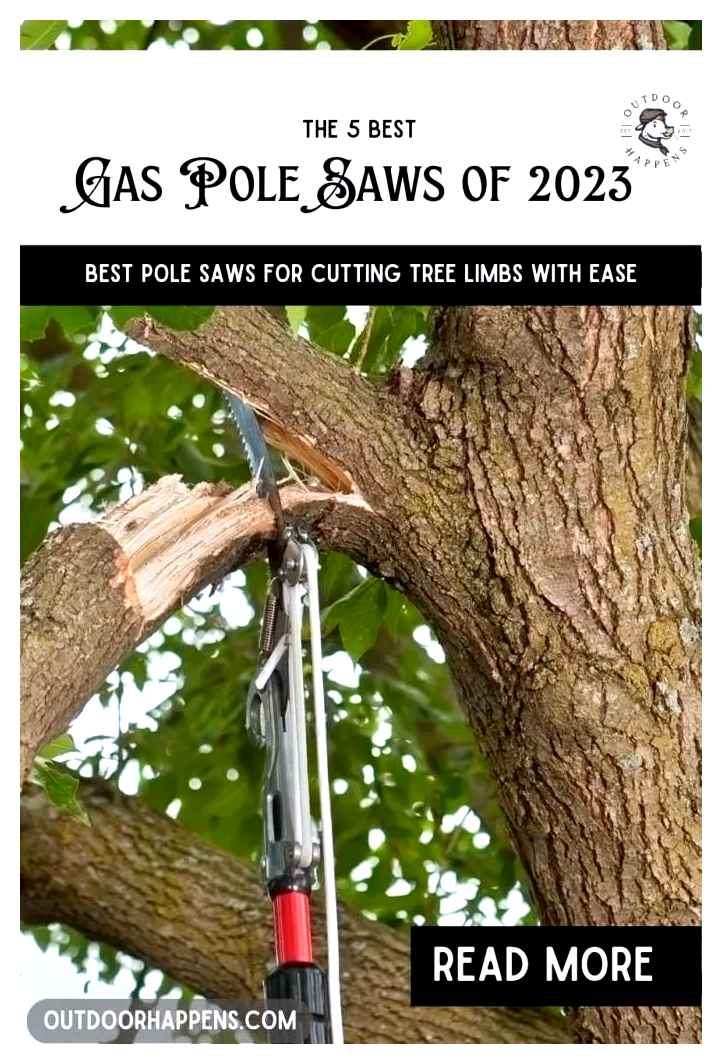 best, pole, saws, tested, 2023