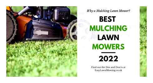 good, mulching, push, mower, best, lawn