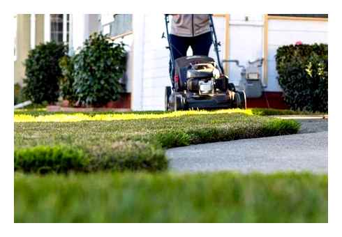 ideal, lawn, mower, best, walk-behind, mowers