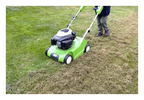 Lawn mower aerator blade. Dethatching blade vs power rake: Which way ...