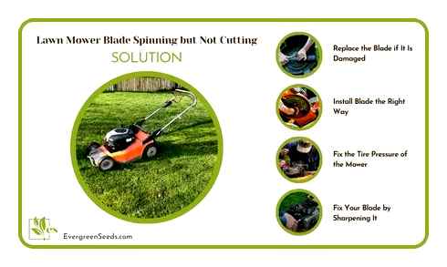 lawn, mower, blade, jammed, electric, blades