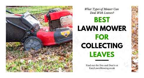 lawn, mower, collect, leaves