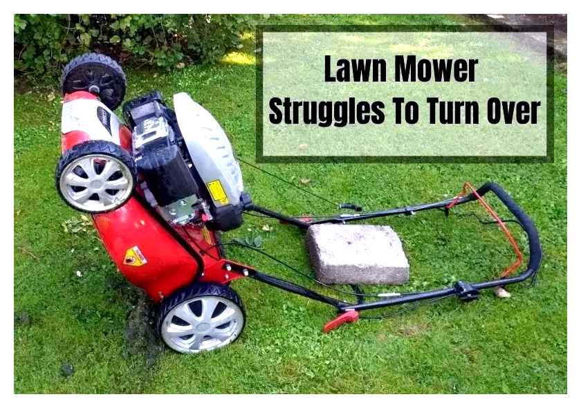 lawn, mower, engine, basics, start, troubleshoot