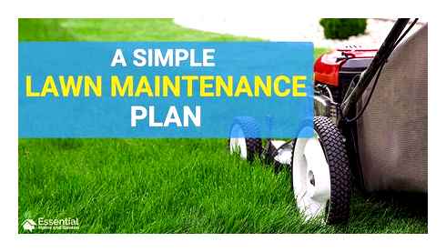 lawn, mower, maintenance, schedule