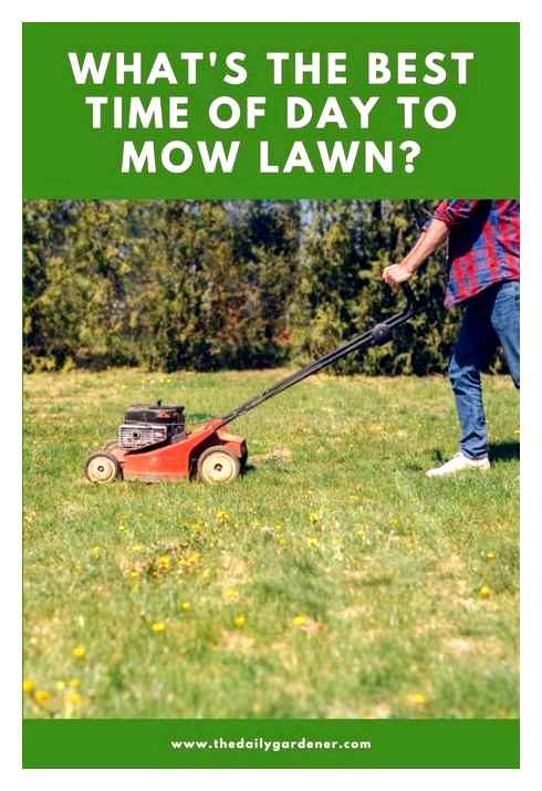lawn, mower, operating, hours