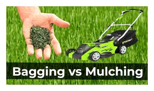 mulching, lawn, mower, bagging