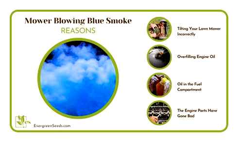 lawn, mower, smoking, blowing, blue, smoke