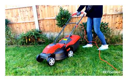 small, compact, lawn, mower