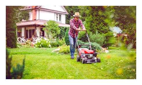 troubleshooting, lawn, mower, problems