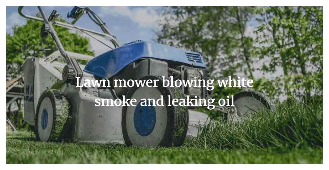 white, lawn, mower, carburetor, cadet, blowing
