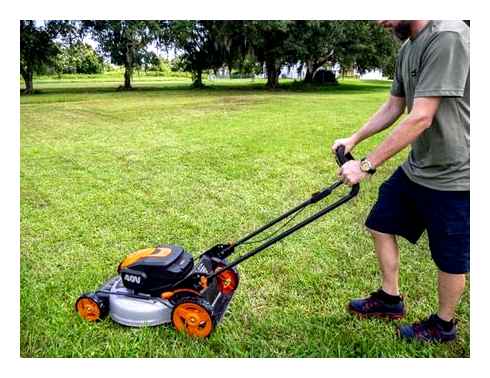 worx, small, lawn, mower, battery-powered, review