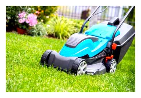 compare, battery, lawn, mowers, best, cordless