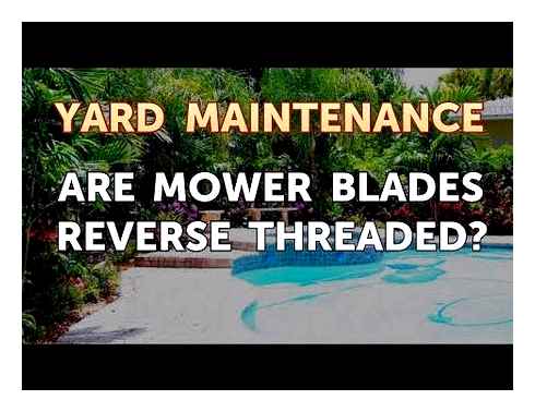 lawn, mower, blade, screw