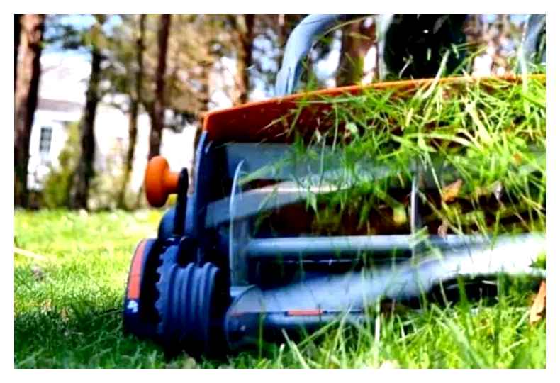 lawn, mower, weeds, tall, grass