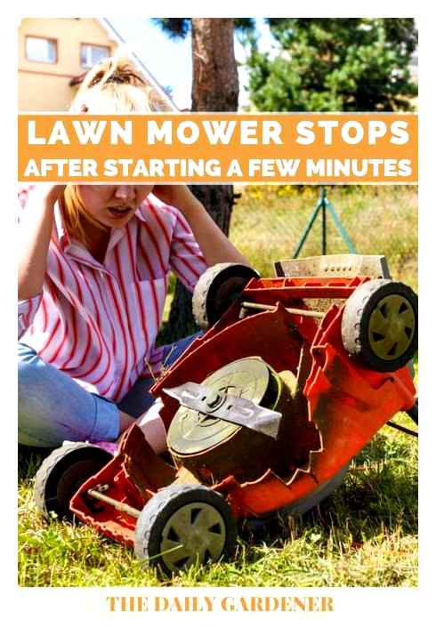 lawn, mower, moving, reasons, riding