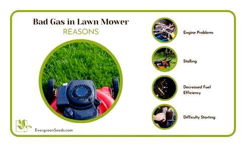 lawn, mower, fuel, efficiency, much