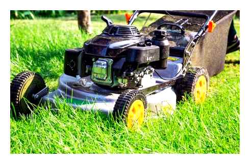 lawn, mower, leaking, reasons, your, solutions