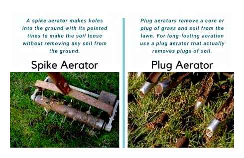 lawn, mower, spike, aerator, shoes