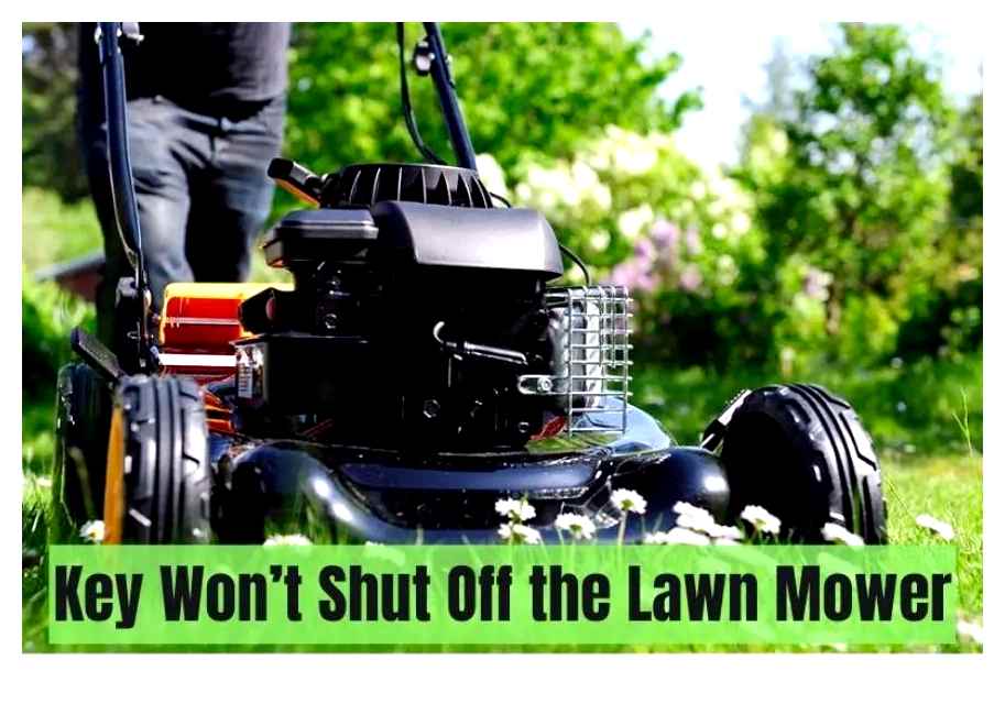 riding, mower, carburetor, here, your, lawn