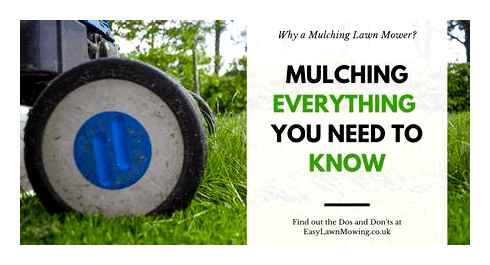 mower, mulching, lawnmower, complete, guide